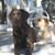 Susan Novak's profile image