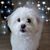 Karie Hirons's profile image