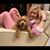 Elizabeth Alvarez LaBorde's profile image