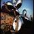 Marek Franke's profile image