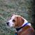 Molly Smith Detweiler's profile image