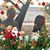 Bing Nanette's profile image