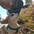Raul Garcia's profile image
