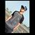 Jayesh Hatkar Özil's profile image