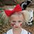Kelly Schuette-Luke's profile image