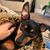 Leslie Kiger's profile image
