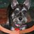 Bobbi Carter's profile image
