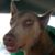 Sean Kelly's profile image