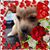 Debra Mcintosh's profile image