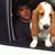 David Murphy's profile image
