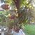 Holly Rolf Segelquist's profile image