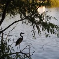 Marcy Kram's profile image