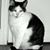 Wanda Wilson's profile image