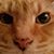 Bruce Thompson's profile image