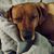 Leslie Crysler's profile image