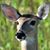 George Mulder's profile image