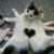 Karen Cayce's profile image