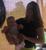 Jerika J.'s profile image