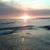 Daniel Brener's profile image