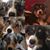 Kathy Gramm's profile image