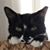 Karen Diamond's profile image