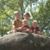 Lisa A Rainey's profile image