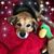 Tracy Turanick Forlenza's profile image