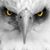 Brian Goecke's profile image