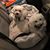 Michelle Van Egdom's profile image