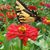 Penny Holt Hull's profile image