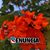 Mya Cisco Mya's profile image