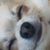 Robin Russell's profile image