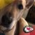 Beth Bagby-Waddell's profile image