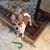 Carol Kochick's profile image