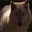 Ashley Brown's profile image