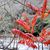 Joanne Christman's profile image