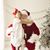 Nan Phillips Bell's profile image