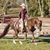 Jessie Blumenthal's profile image