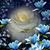 Linda Oliver's profile image