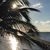 Kim Paske's profile image