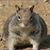 Sherron Bull's profile image