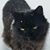 Becky Hartzell Stanley's profile image