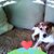 Natividad Brown's profile image