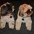 Karen Ochwat's profile image