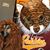 Brandy Brough Storey's profile image