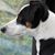 Sheri Rowan Dayneka's profile image