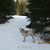 Nancy Mears Feiner's profile image