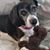 Judy Vecchione Dorn's profile image