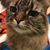 Laurie Sawyer's profile image