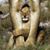 Sol Jimenez's profile image